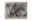 lmtorrent